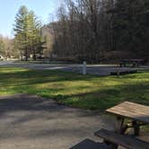 Review photo of Mash Fork Campground — Camp Creek State Park by MickandKarla W., April 8, 2021