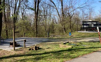 M J.'s photo of camping with pets at Gambrill State Park Campground near Braddock Heights, MD