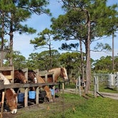 Review photo of Pine Grove Campground — Jonathan Dickinson State Park by janet H., April 8, 2021