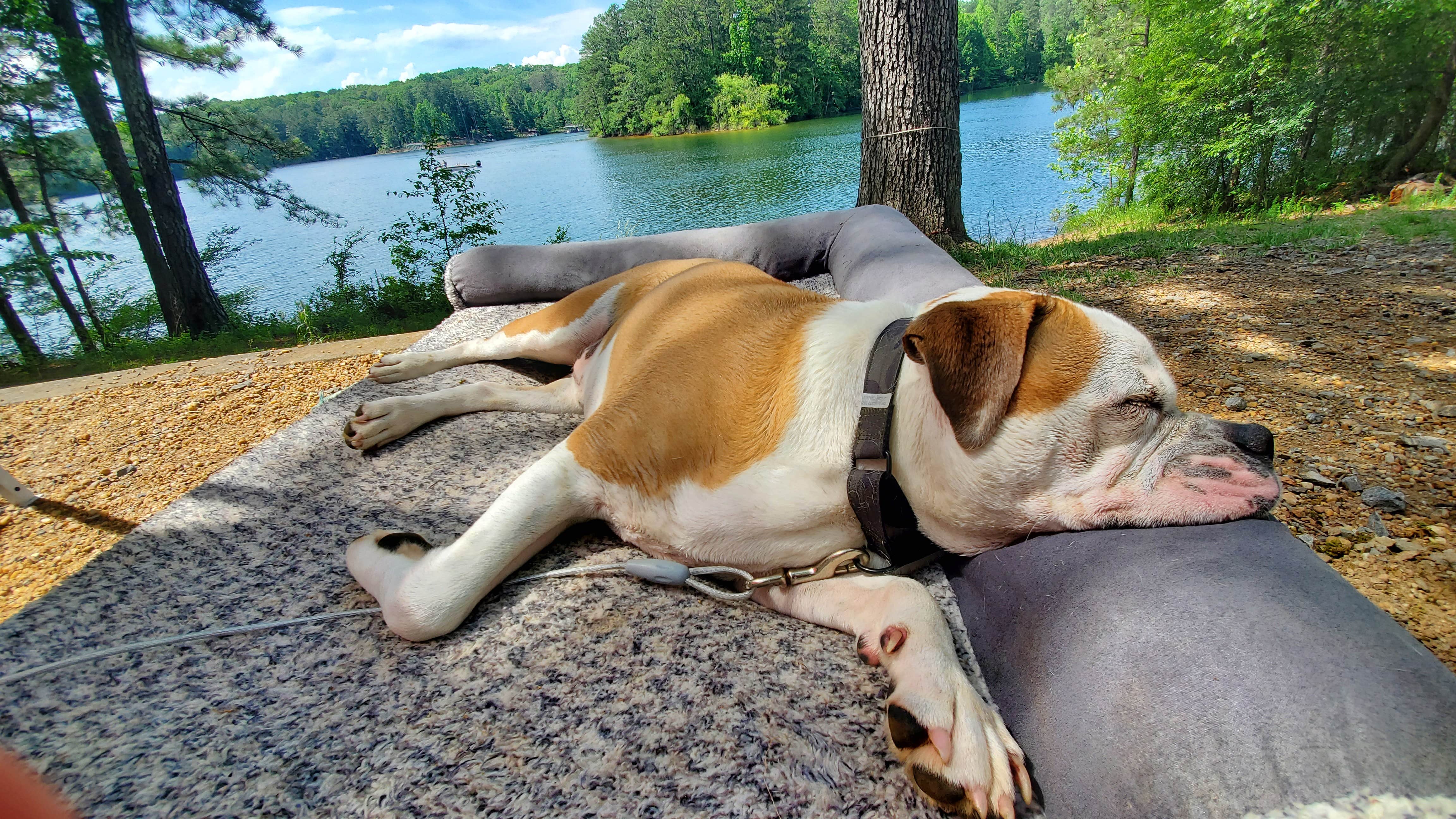 Camper-submitted photo at Clark Creek North Campground near Chattahoochee Hills, GA