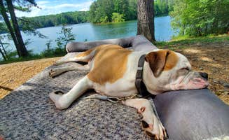 Kim M.'s photo of camping with pets at Clark Creek North Campground near Acworth, GA