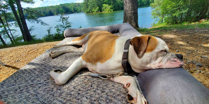 Camper submitted image from Clark Creek North Campground