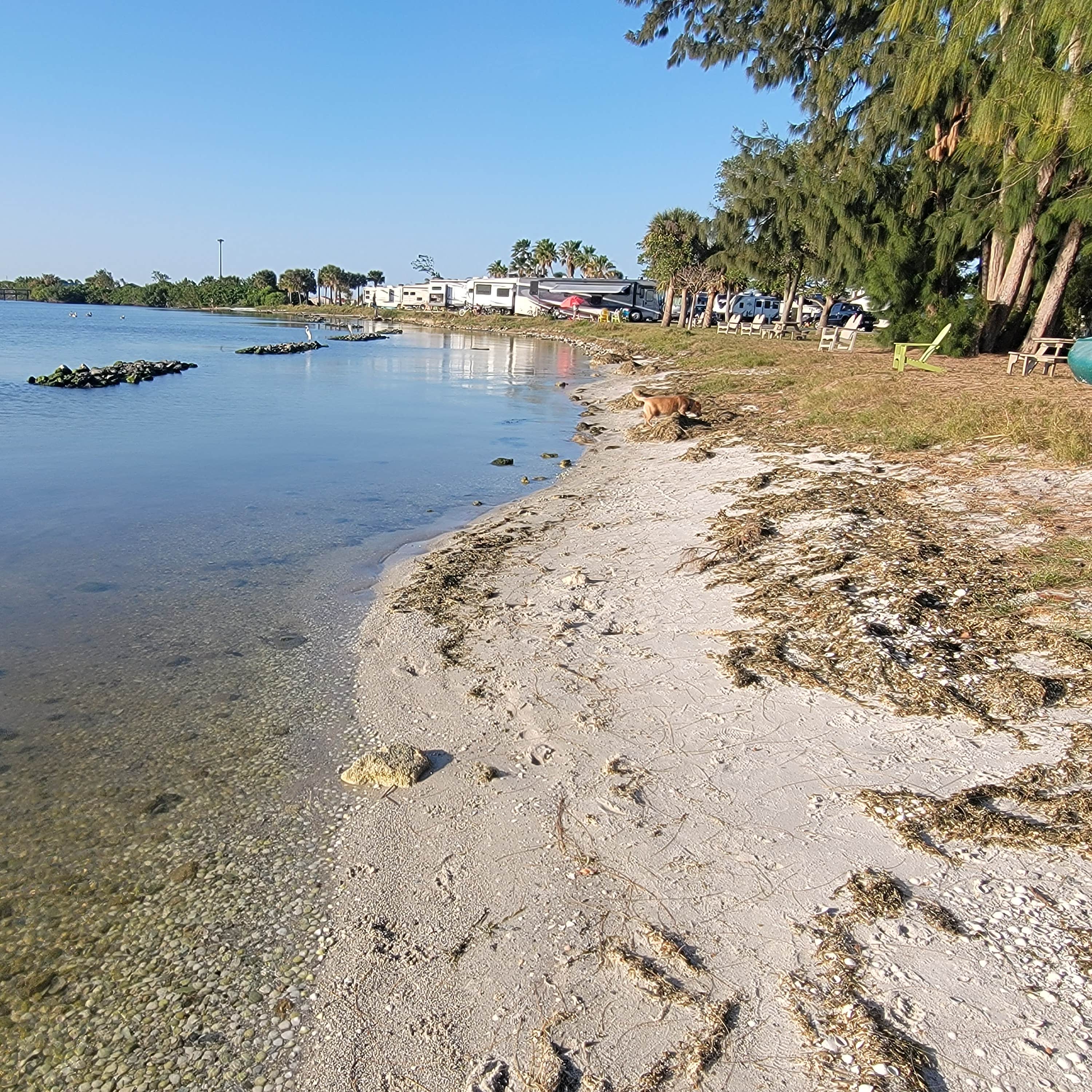 Escape to Paradise: Unwind at Florida's Manatee Cove Campground