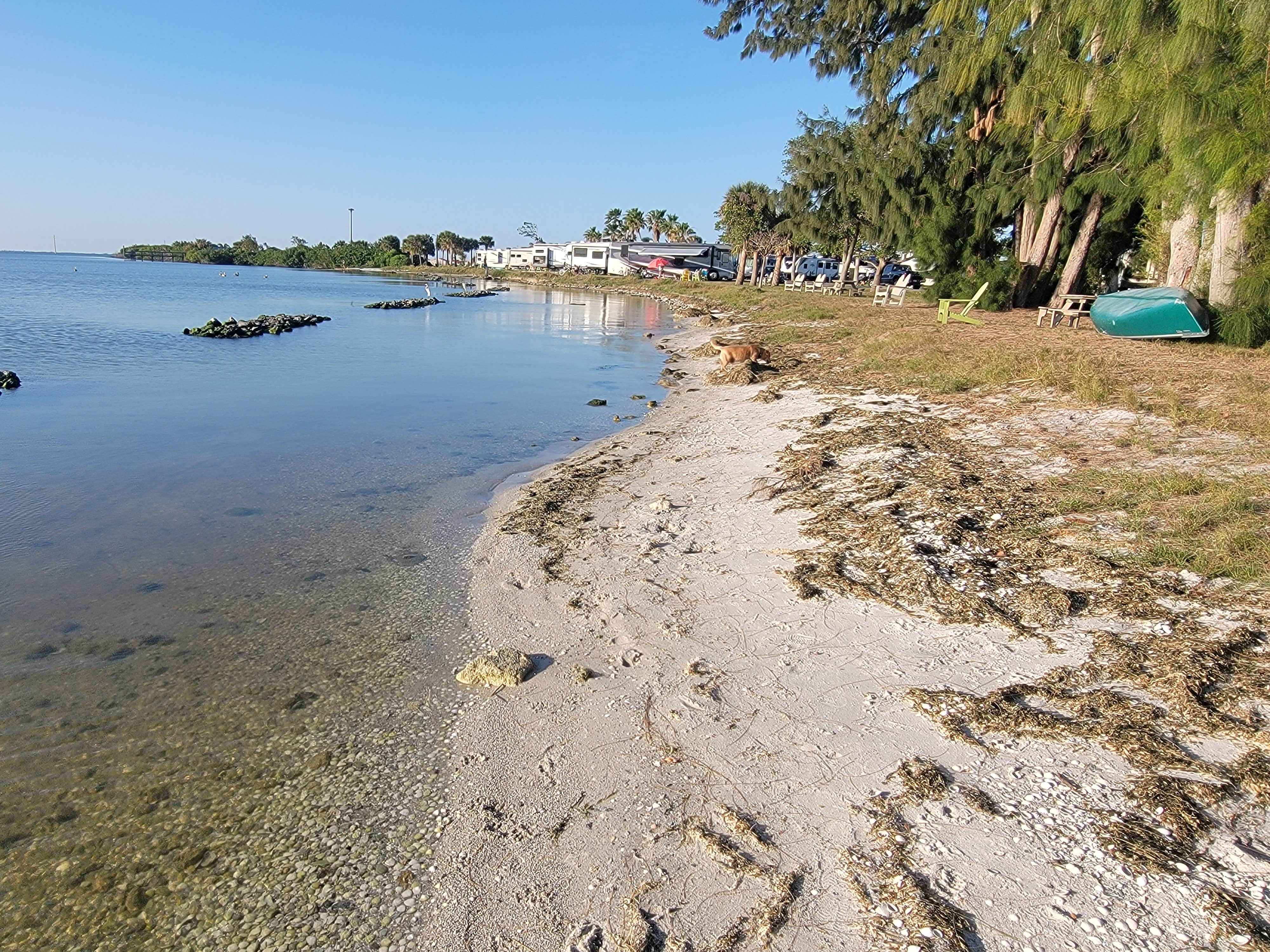 Escape To Paradise: Unwind At Florida’s Manatee Cove Campground