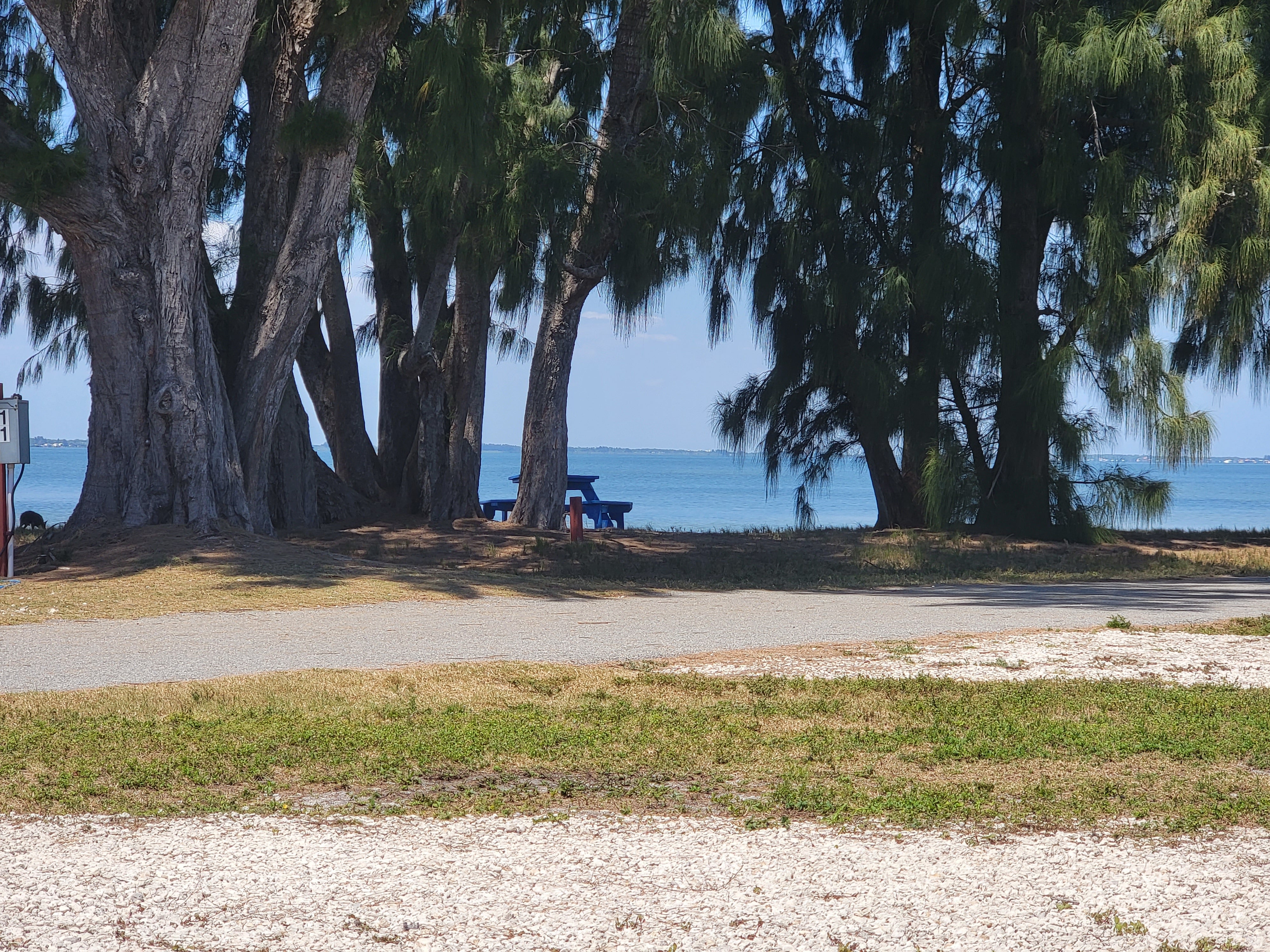 Camper submitted image from Manatee Cove Family Campground at Patrick Air Force Base - 5