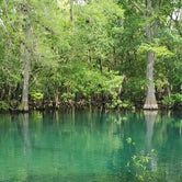 Review photo of Manatee Springs State Park Campground by janet H., April 8, 2021