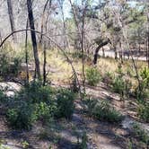 Review photo of Mike Roess Gold Head Branch State Park Campground & Cabins by Brenda S., May 2, 2018