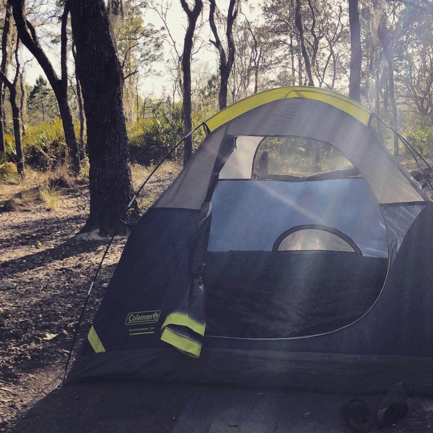 Kelly S.'s photo at Green Swamp — West Tract near Zephyrhills, FL