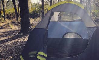 Kelly S.'s photo at Green Swamp — West Tract near Lacoochee, FL