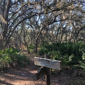 Review photo of Green Swamp — West Tract by Kelly S., April 8, 2021