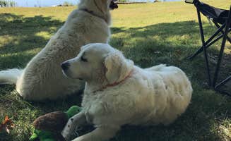Sue's photo of camping with pets at Lock A near Adams, TN