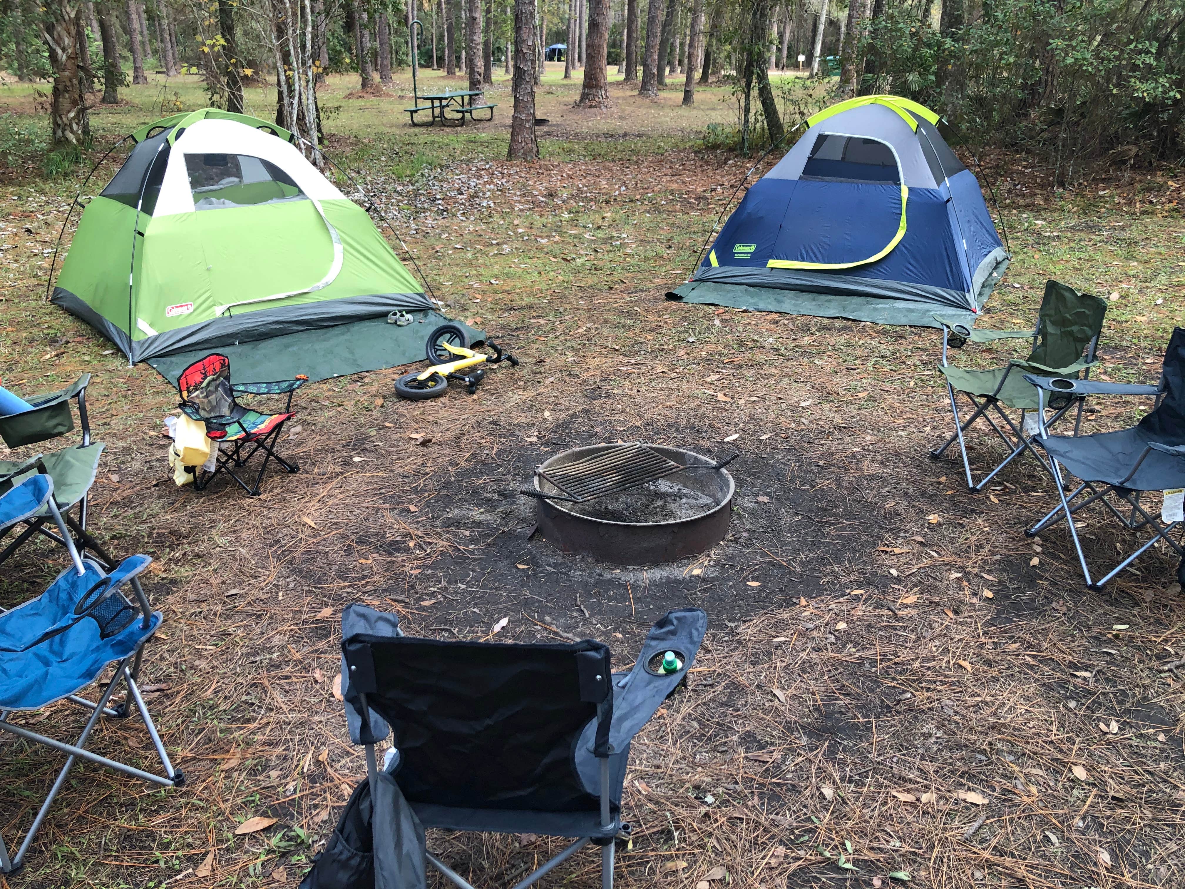 Kelly S.'s photo at Rodman Campground near San Mateo, FL