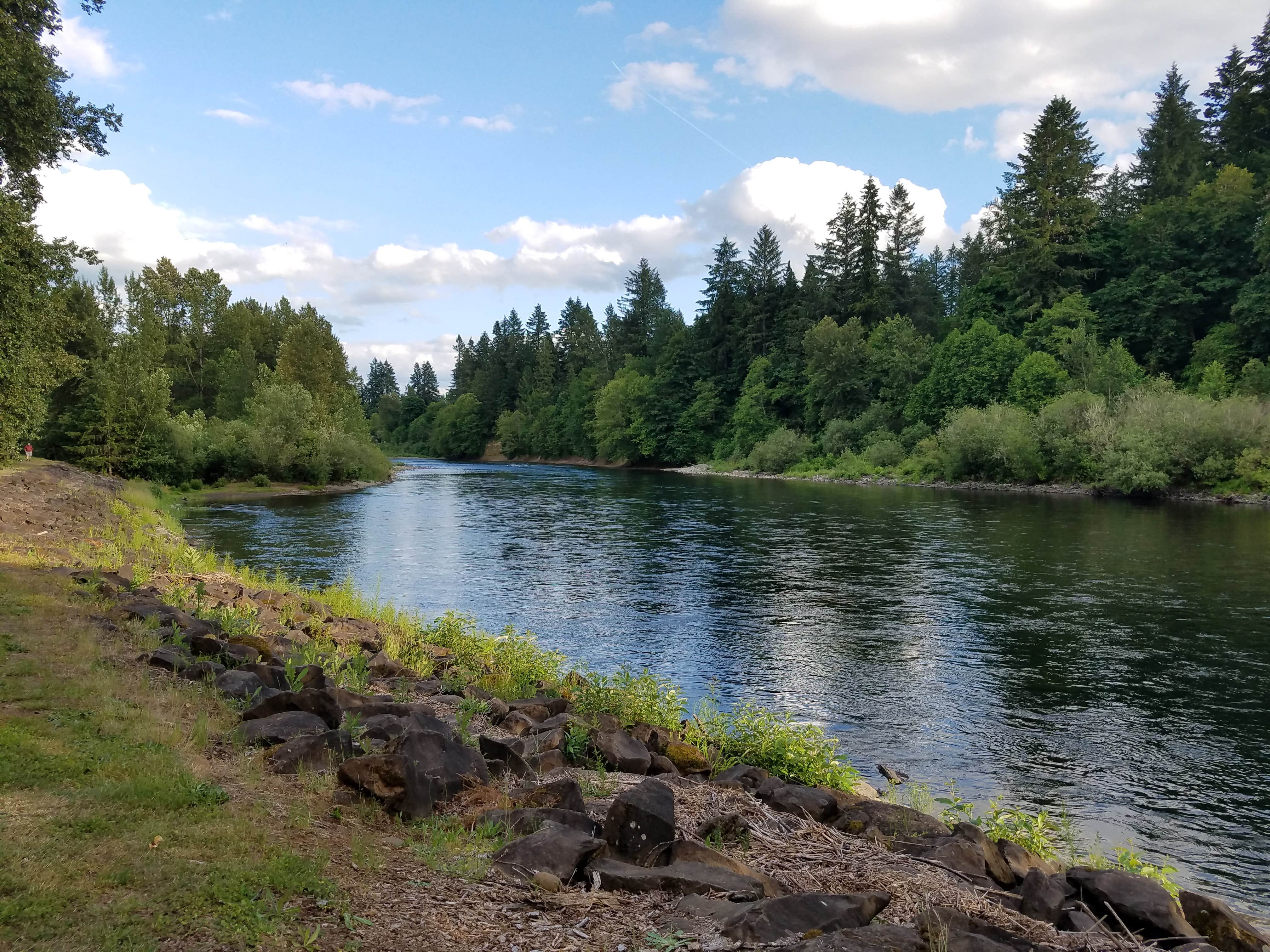 Barton County Park Campground | Boring, OR