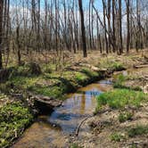 Review photo of East Fork State Park Campground by Melissa W., April 8, 2021