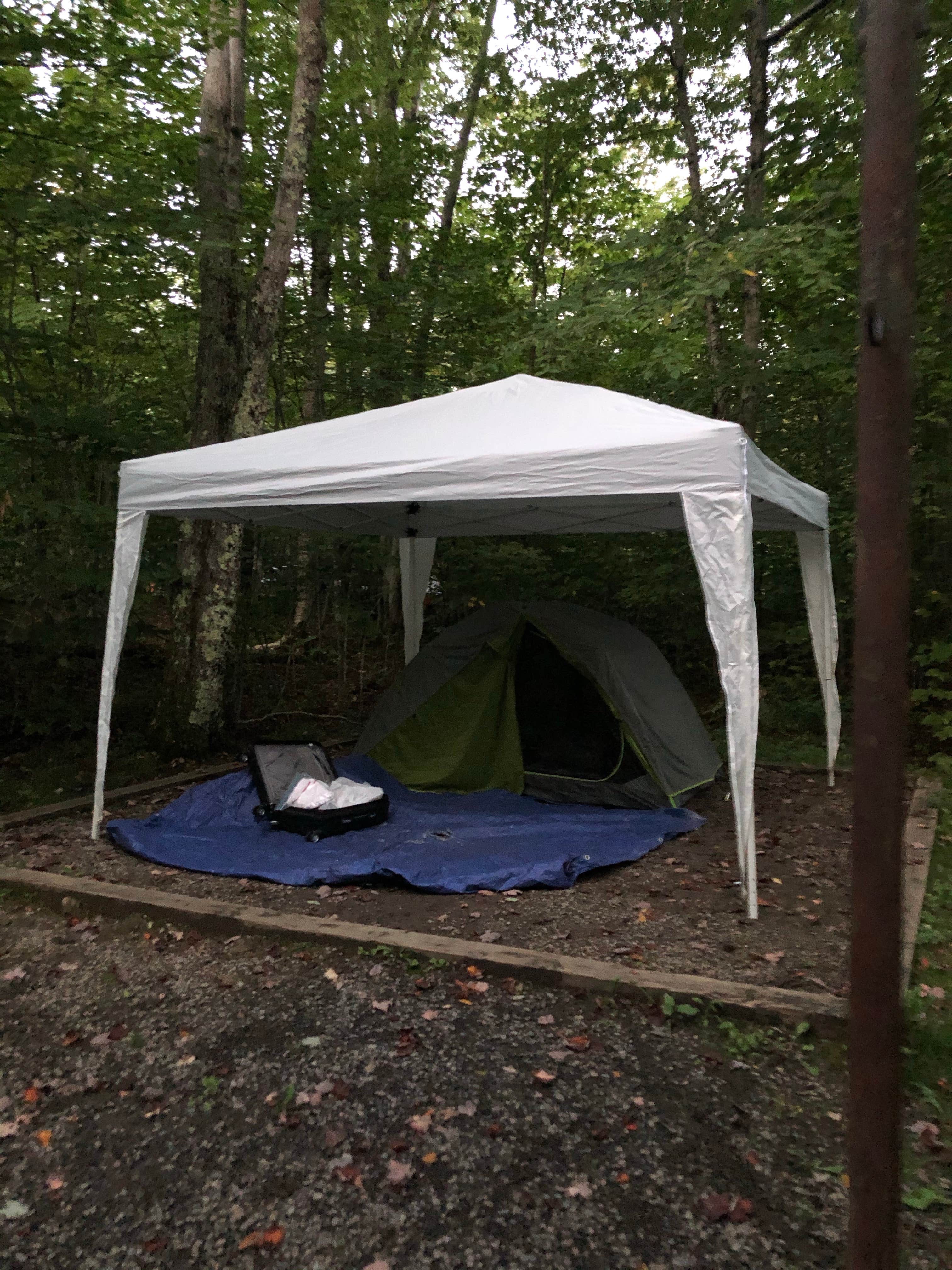 Megan's photo of tent camping at Seneca Campground near Mount Solon, VA