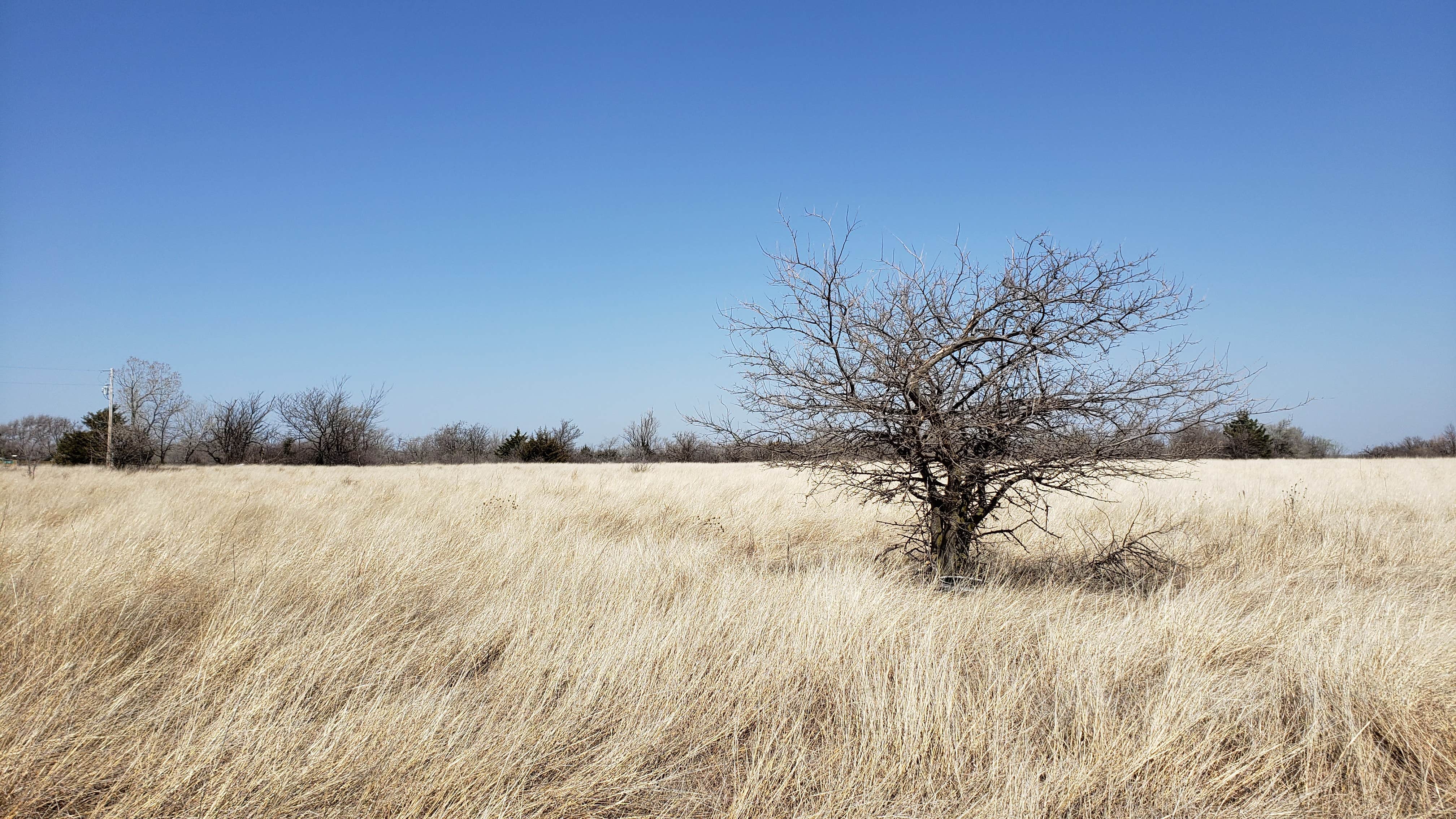 Camper-submitted photo at West Shore Camping Area — Cheney State Park near McPherson, KS