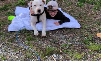 Amanda's photo of camping with pets at North Mills River near Flat Rock, NC
