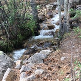 Review photo of Browns Creek (South) Dispersed Camping by Lise F., April 8, 2021