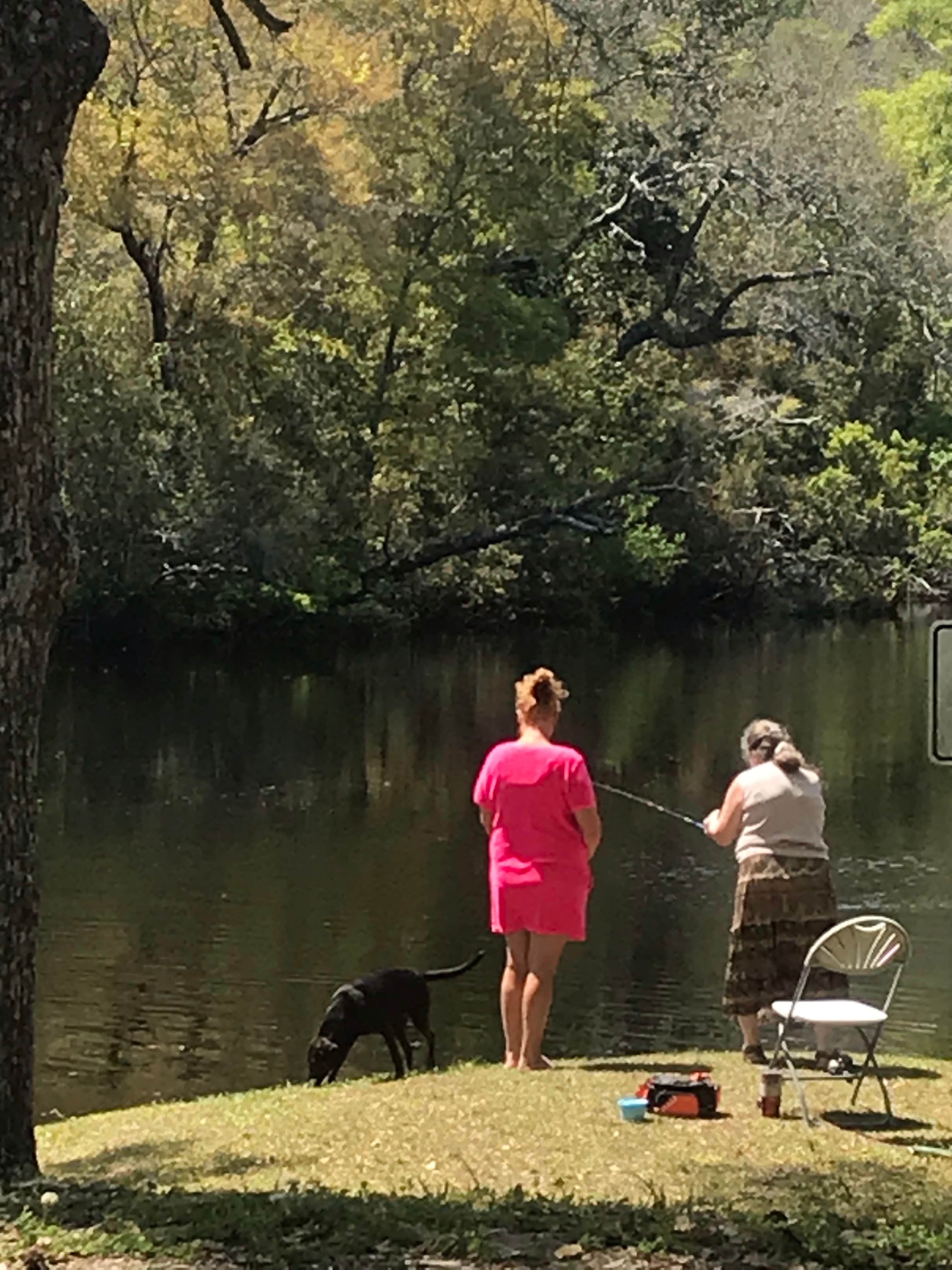 Lisa S.'s photo of camping with pets at Myron B. Hodge City Park near Apalachicola National Forest