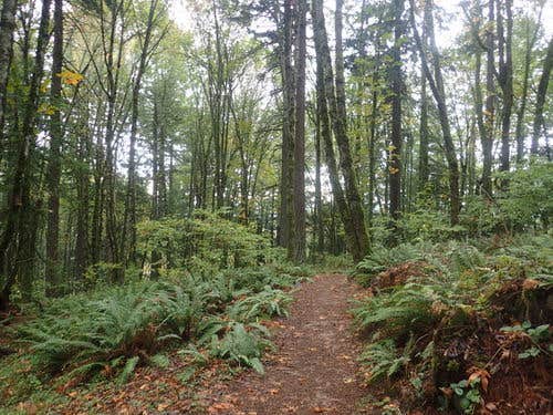 Camper-submitted photo at Barton County Park Campground near Vancouver, WA