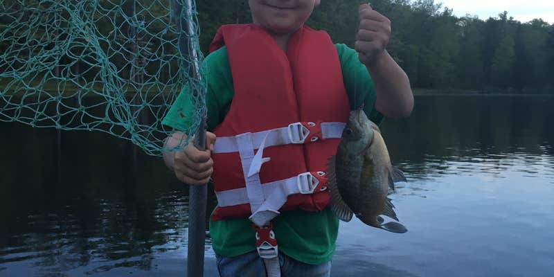 Camper submitted image from Cowans Gap State Park Campground