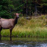 Review photo of Yellowstone Park / West Gate KOA Holiday by Heather K., April 8, 2021