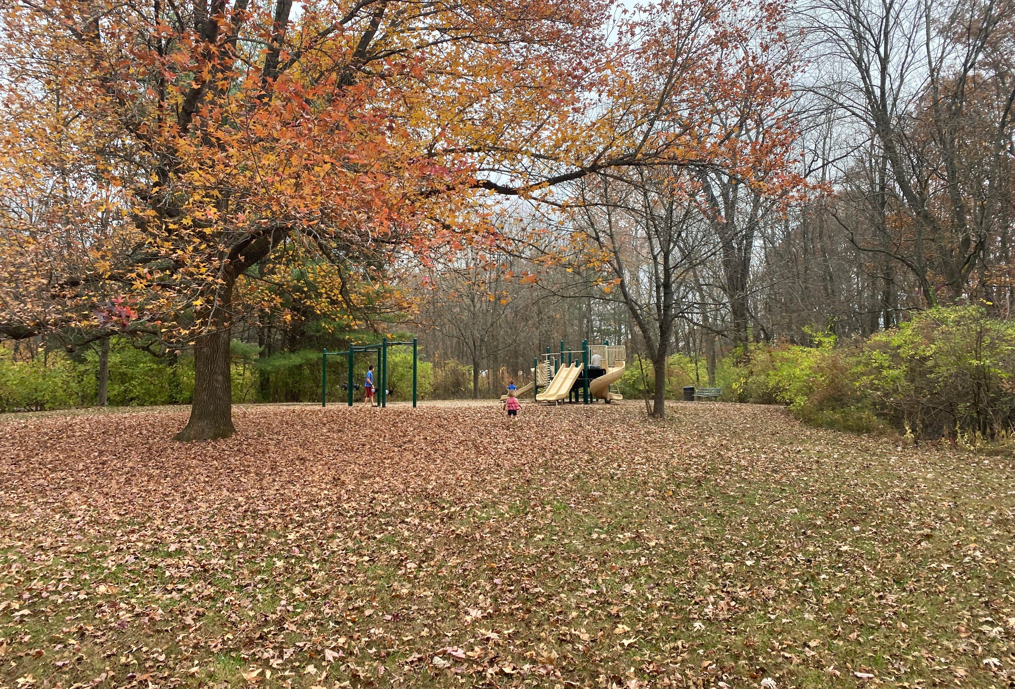 Fox Ridge State Park Campground | Charleston, Illinois