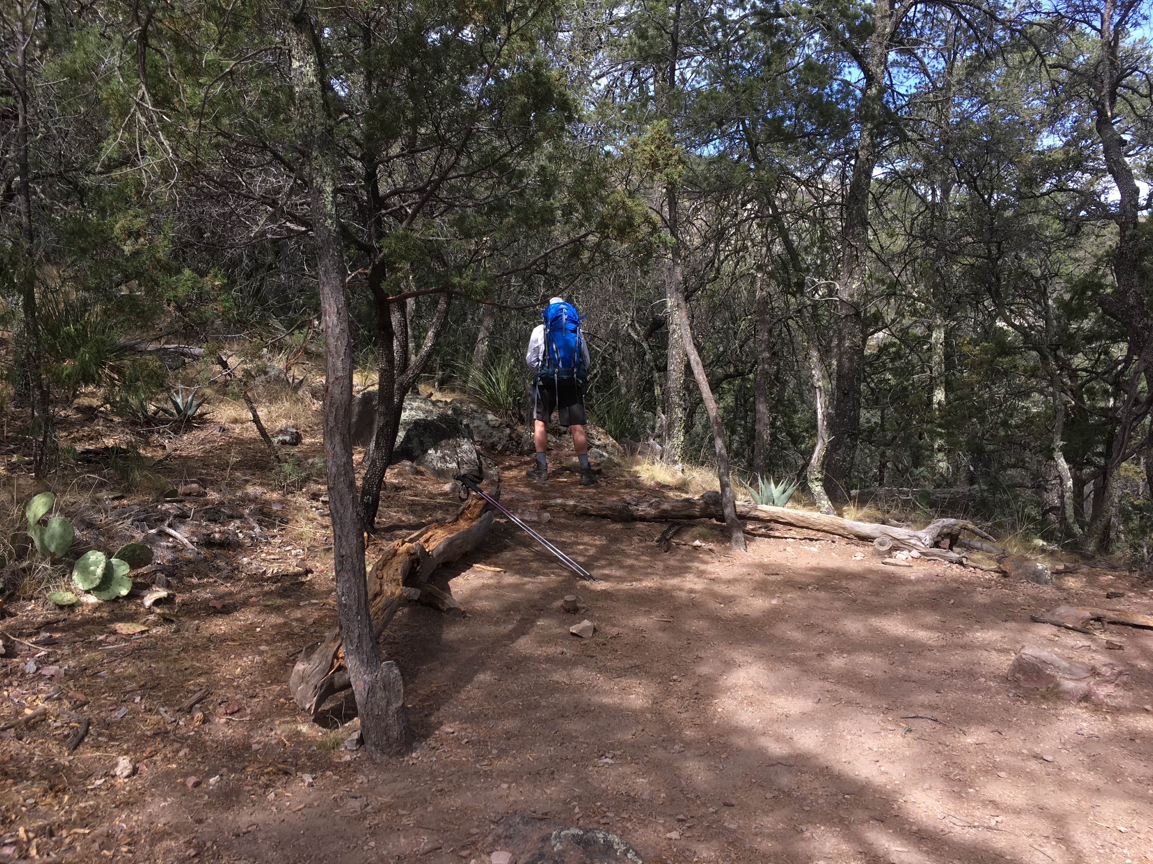 Camper submitted image from Toll Mountain (TM1) Campground — Big Bend National Park - 2