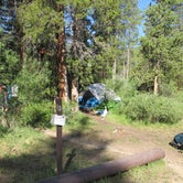 Review photo of Chapman Campground And Group Camp - White River NF by Lise F., April 8, 2021