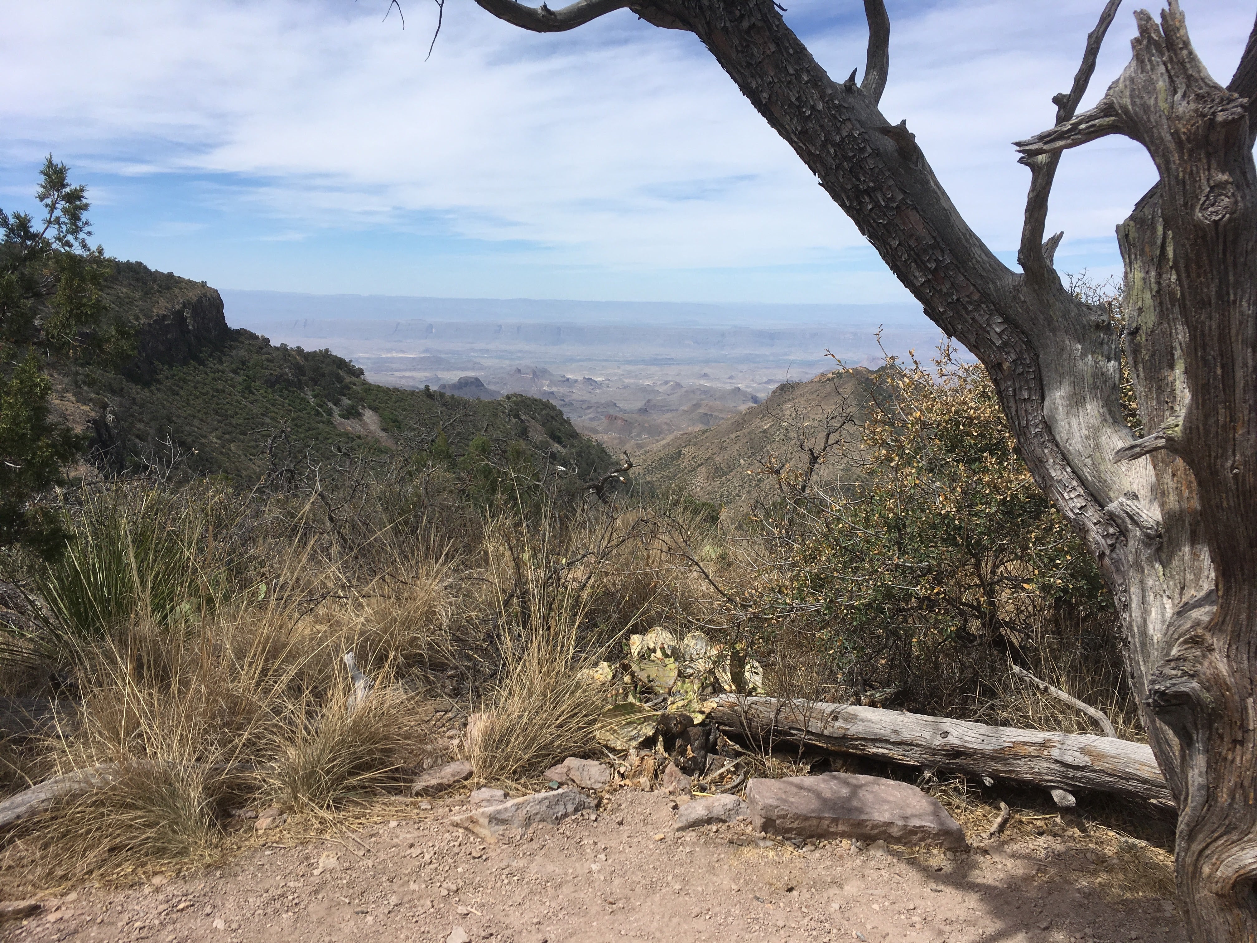 Camper submitted image from Toll Mountain (TM1) Campground — Big Bend National Park - 2