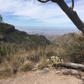 Review photo of Toll Mountain (TM1) Campground — Big Bend National Park by Troy W., May 31, 2018