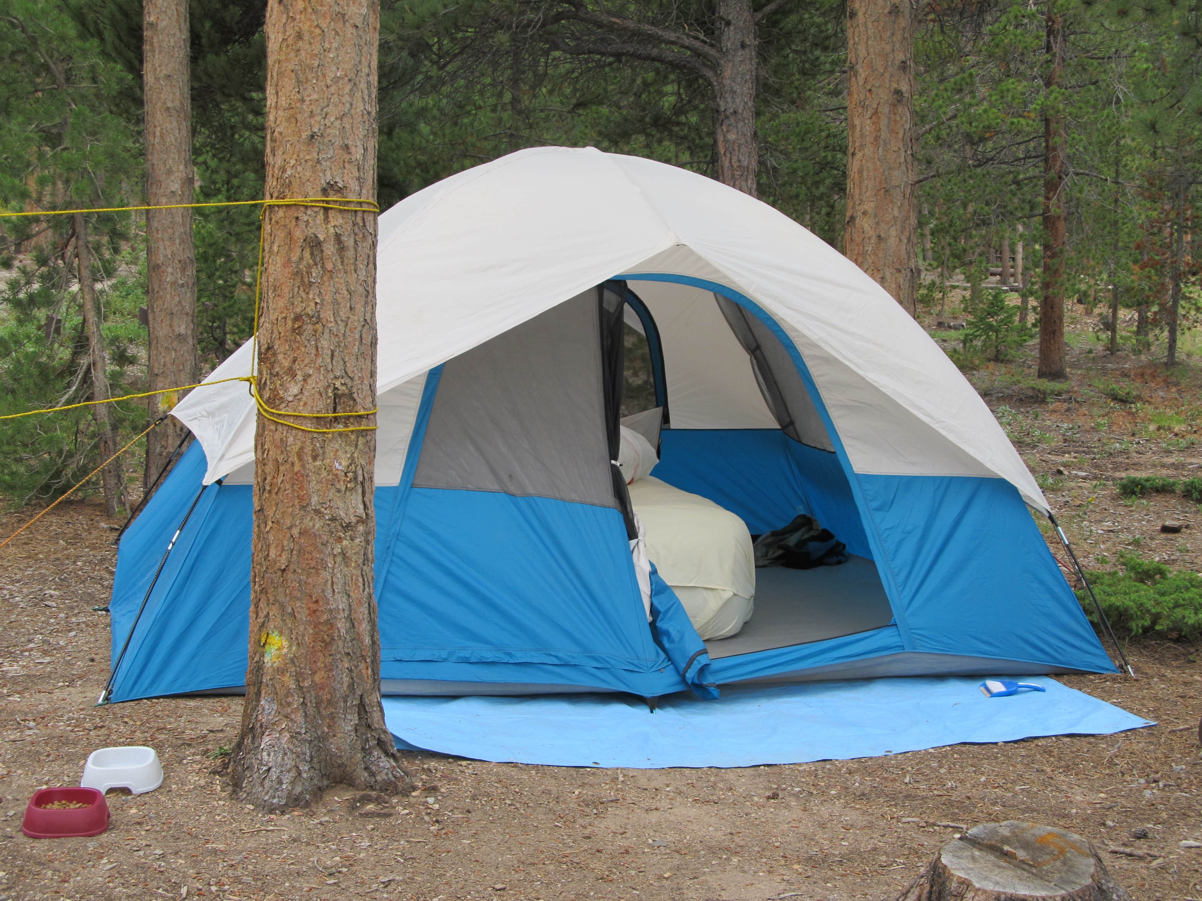 Lise F.'s photo at Kelly Dahl near Rollinsville, CO