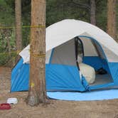 Review photo of Kelly Dahl by Lise F., April 8, 2021