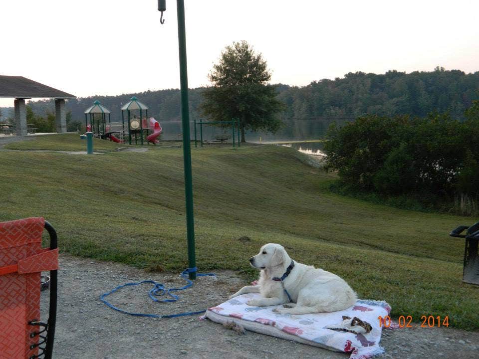 Sue's photo of camping with pets at Pin Oak Campground — Natchez Trace State Park near New Johnsonville, TN