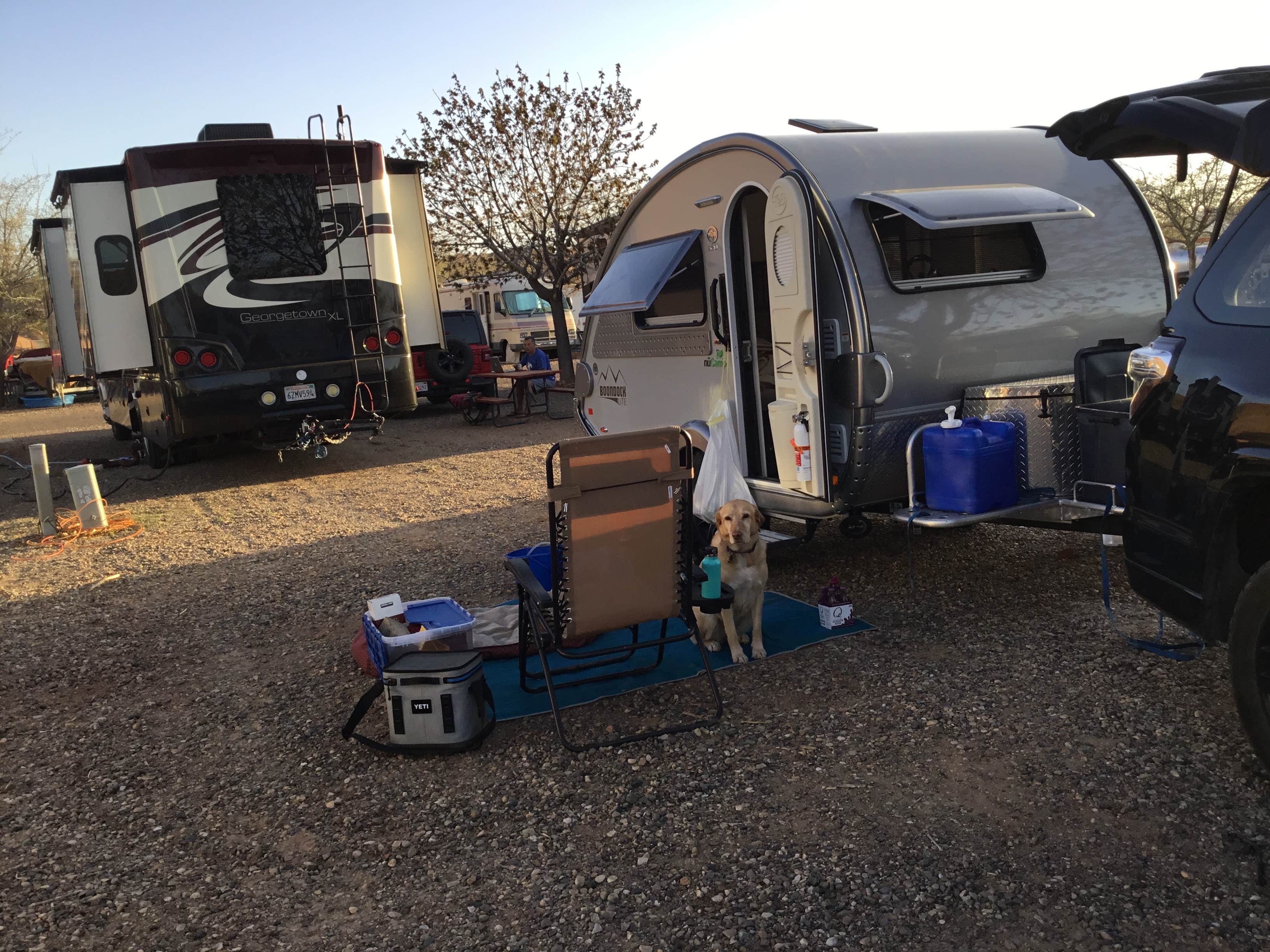 Camper submitted image from Page Lake Powell Campground - 4