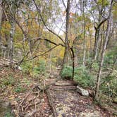 Review photo of Monte Sano State Park Campground by Asher K., April 8, 2021