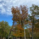 Review photo of Monte Sano State Park Campground by Asher K., April 8, 2021