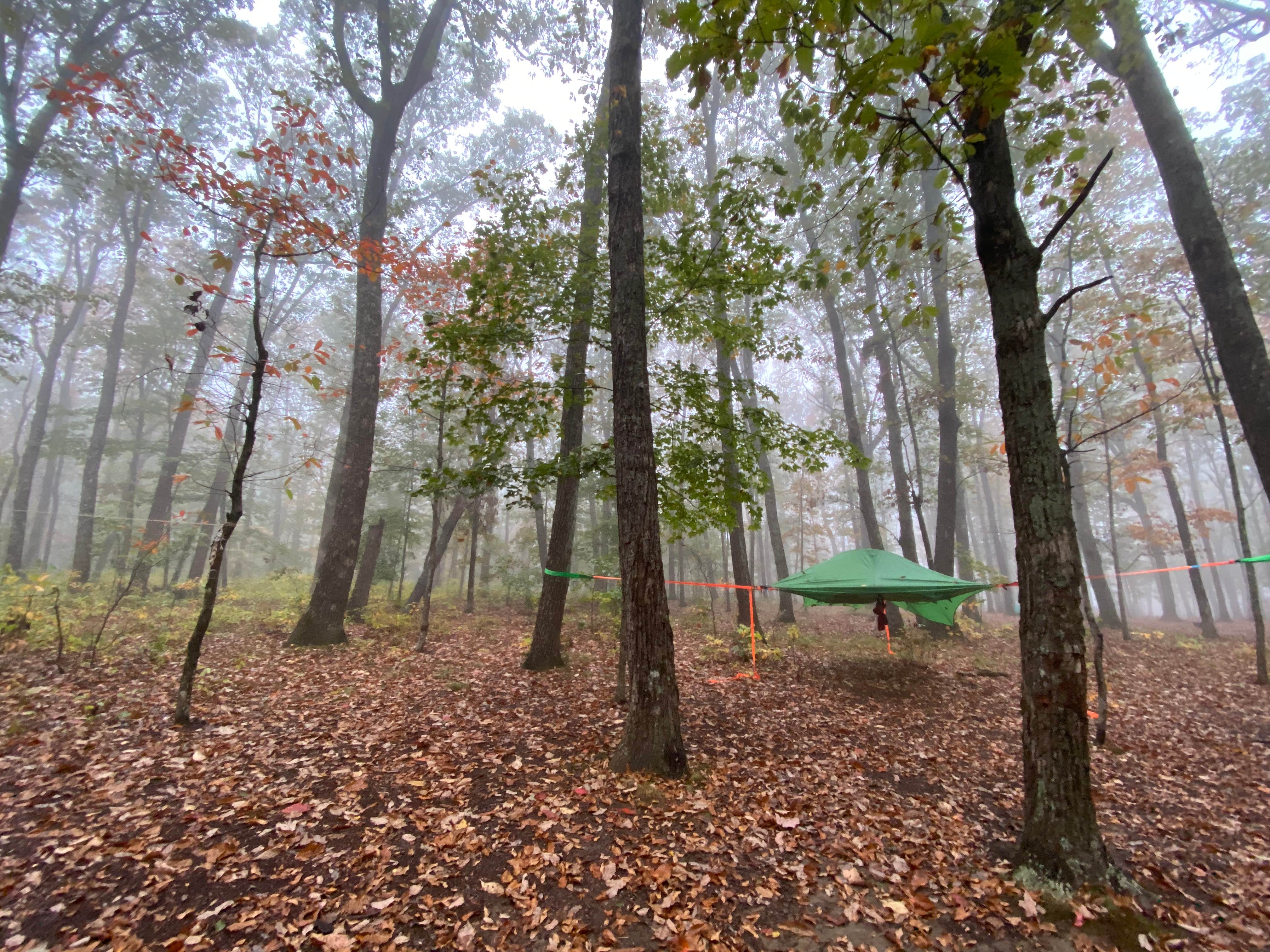 Asher K.'s photo at Monte Sano State Park Campground near Harvest, AL