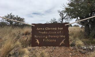 Camping near Pine Canyon — Big Bend National Park: Toll Mountain (TM1) Campground — Big Bend National Park, Big Bend National Park, Texas