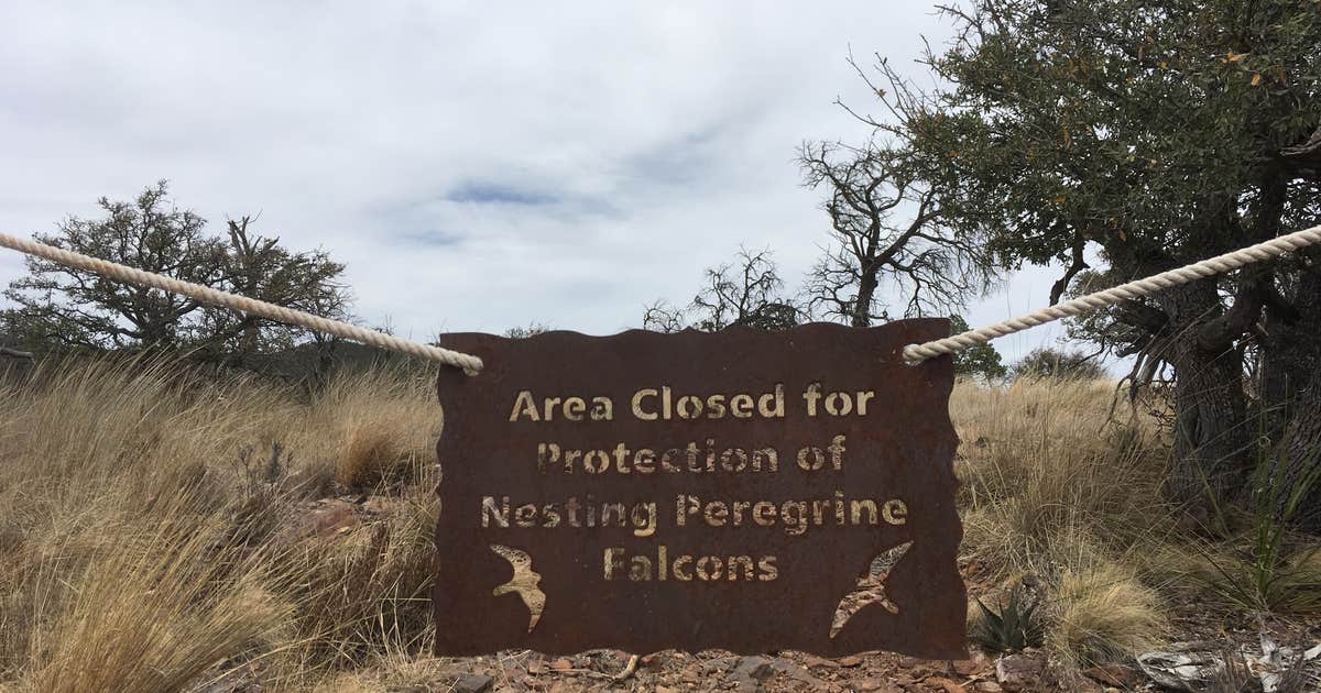Toll Mountain (TM1) Campground — Big Bend National Park