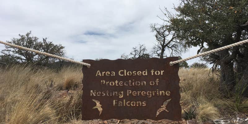 Camper submitted image from Toll Mountain (TM1) Campground — Big Bend National Park