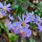 Review photo of Monte Sano State Park Campground by Asher K., April 8, 2021