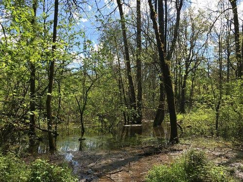 Camper-submitted photo at Wildcat Campground near Jacksonville, OR