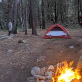 Review photo of Chiricahua Mountains by Tanner H., April 8, 2021