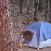 Review photo of Chiricahua Mountains by Tanner H., April 8, 2021