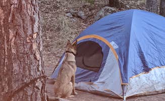 Tanner H.'s photo at Chiricahua Mountains near Douglas, AZ