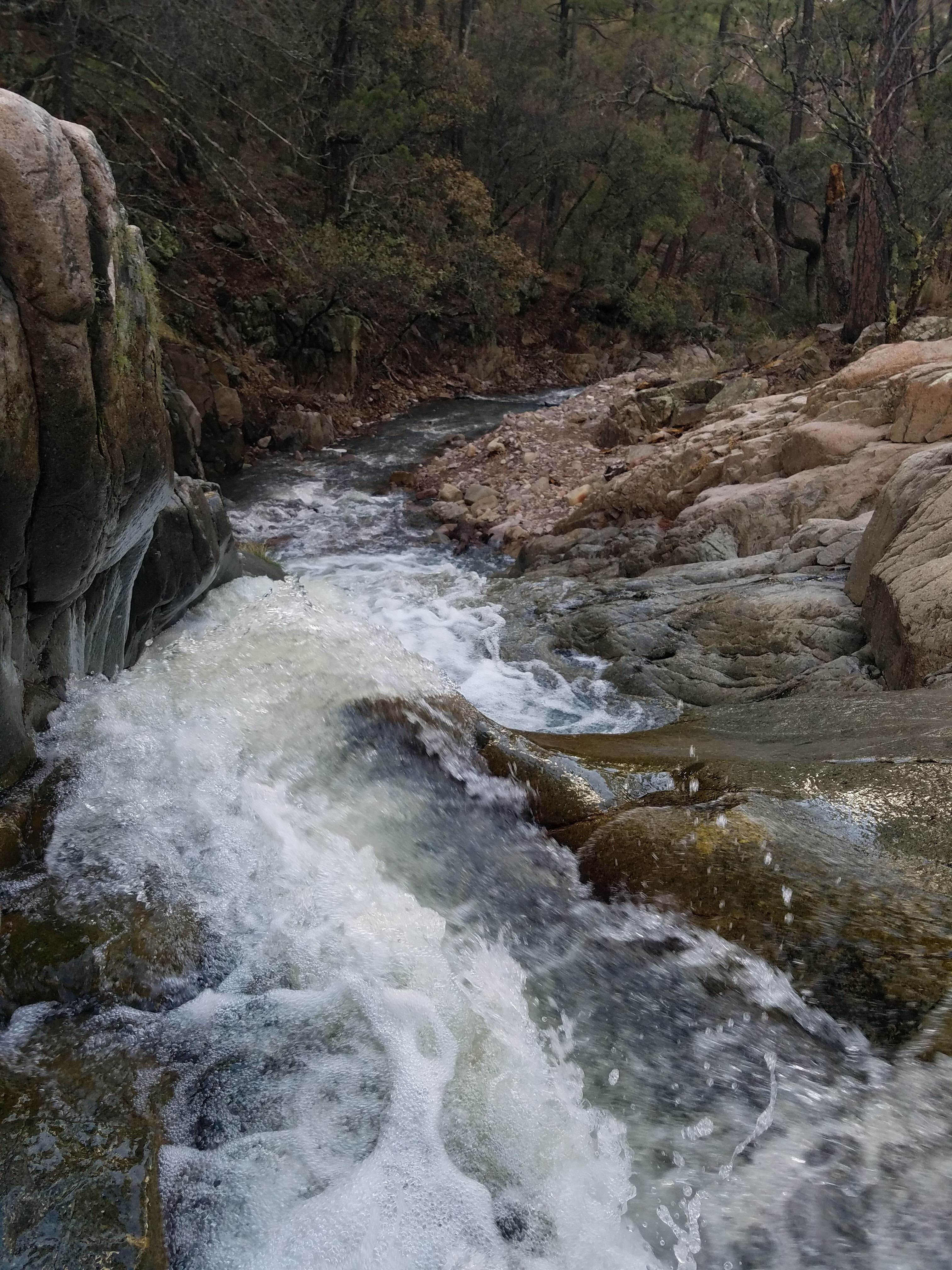 Camper submitted image from Chiricahua Mountains - 5