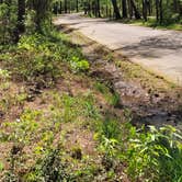 Review photo of Daingerfield State Park Campground by P , April 8, 2021