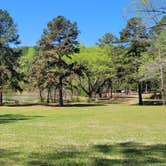 Review photo of Daingerfield State Park Campground by P , April 8, 2021