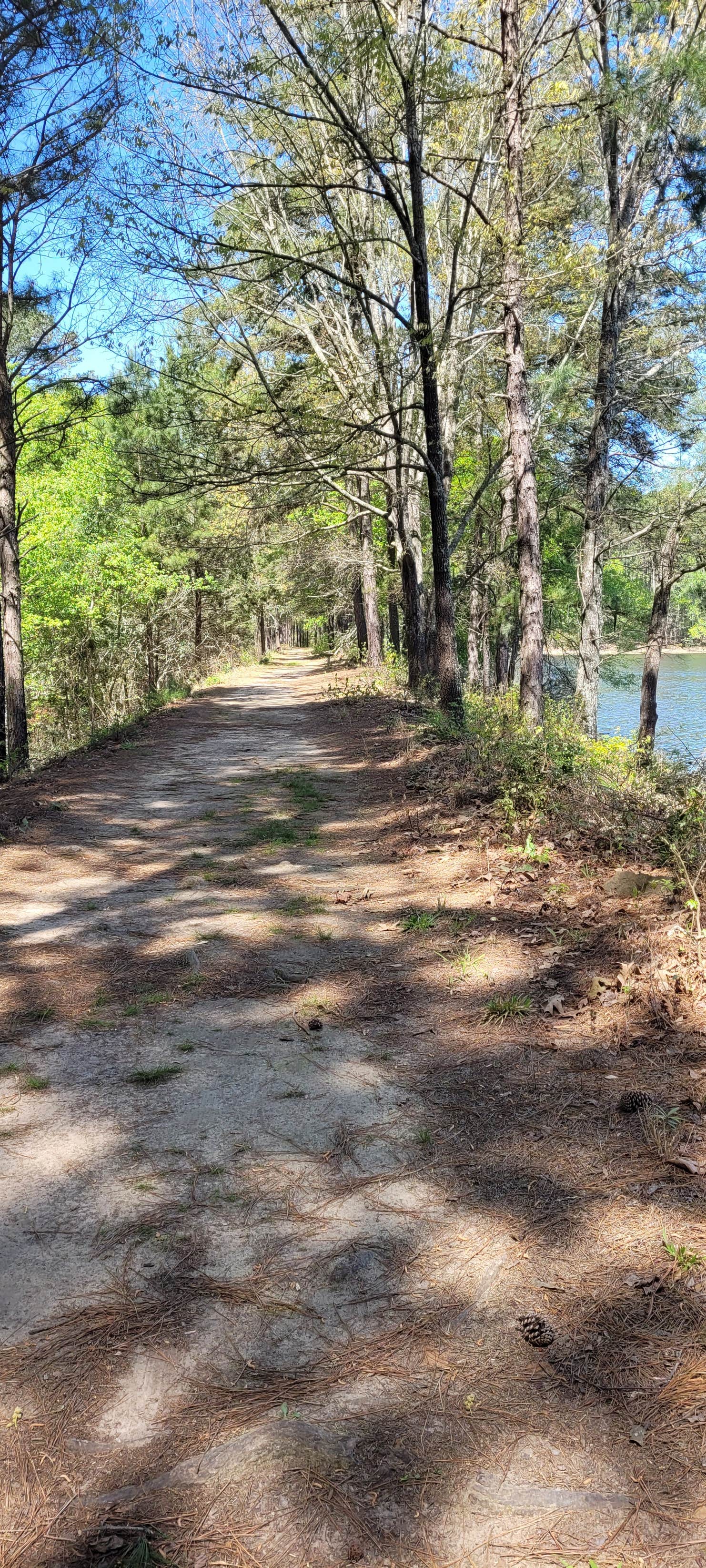 Daingerfield State Park The Dyrt